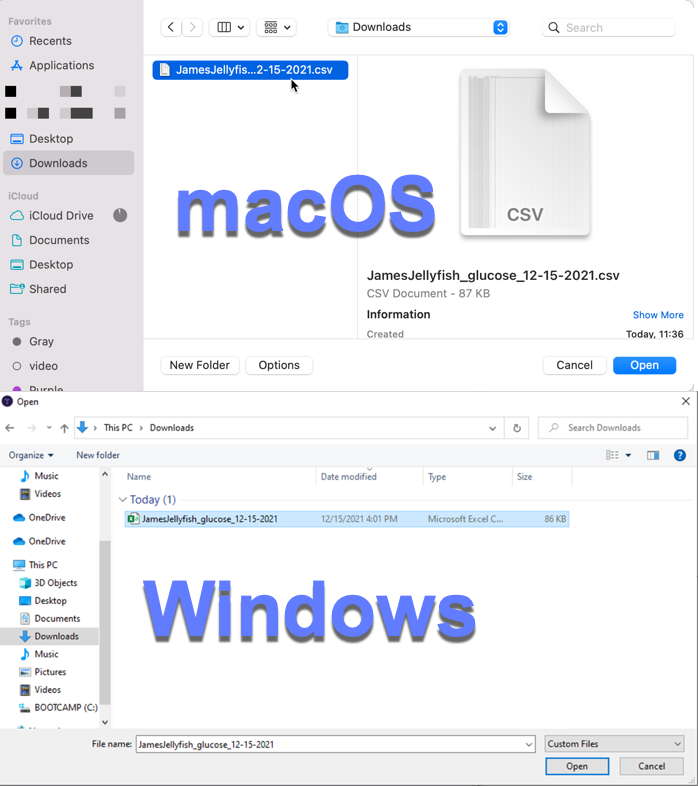 mceclip7.png