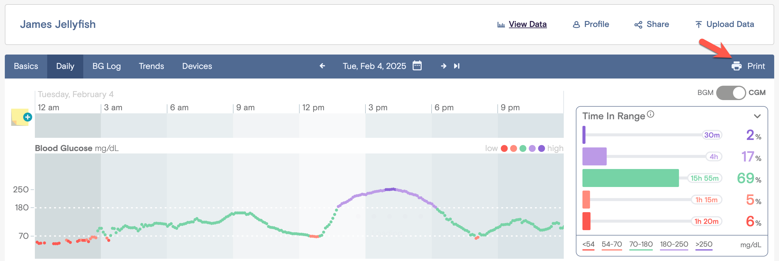 Daily view with red arrow pointing to the Print button.