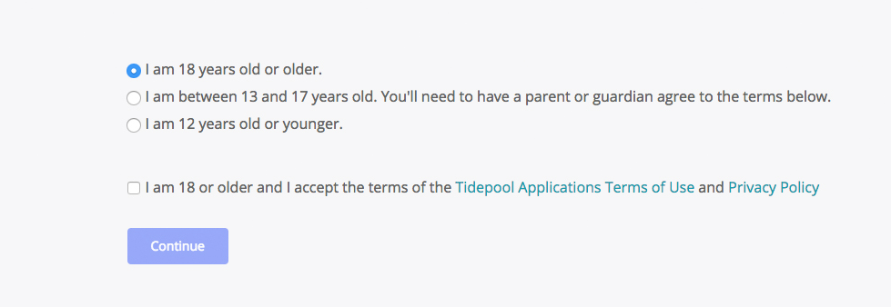 age checkbox options and checkbox to accept terms and conditions