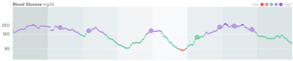 24-hour CGM trace in Tidepool Web Daily View